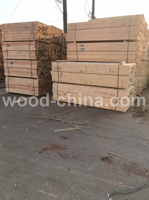 专业承接各类建筑木方采购，涵盖铁杉、云杉、辐射松等多种规格